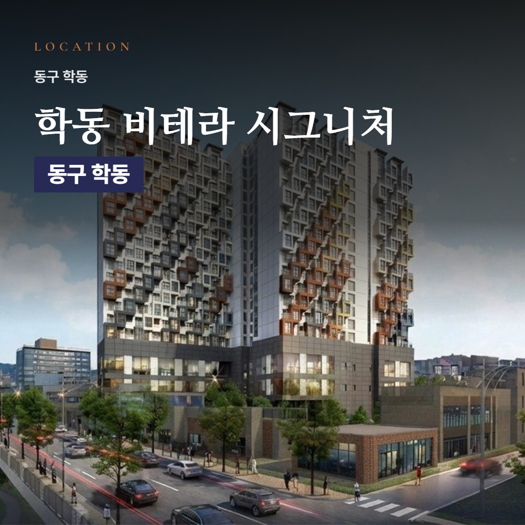 학동 비테라 시그니처 입지 분석