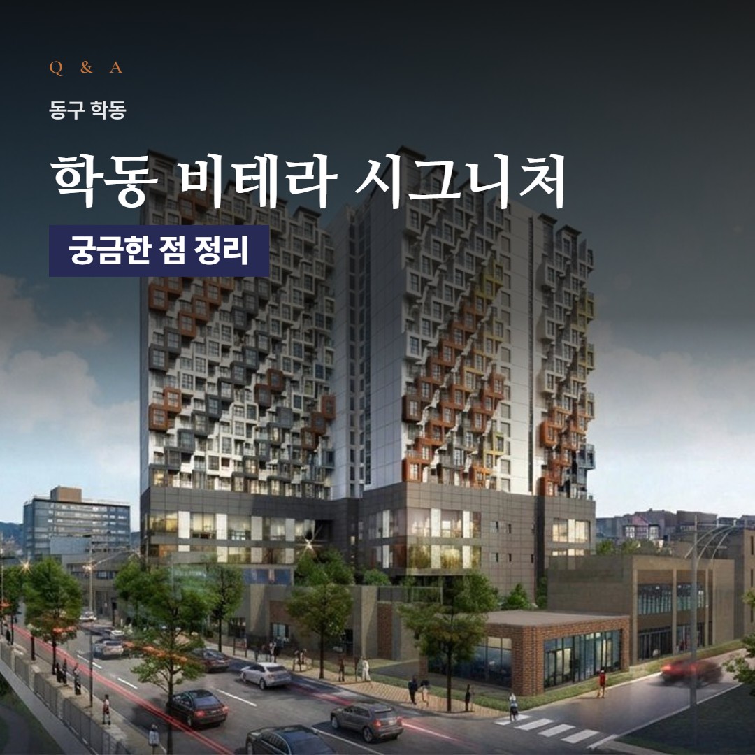 학동 비테라 시그니처 Q&A