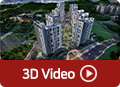 3D Video 재생